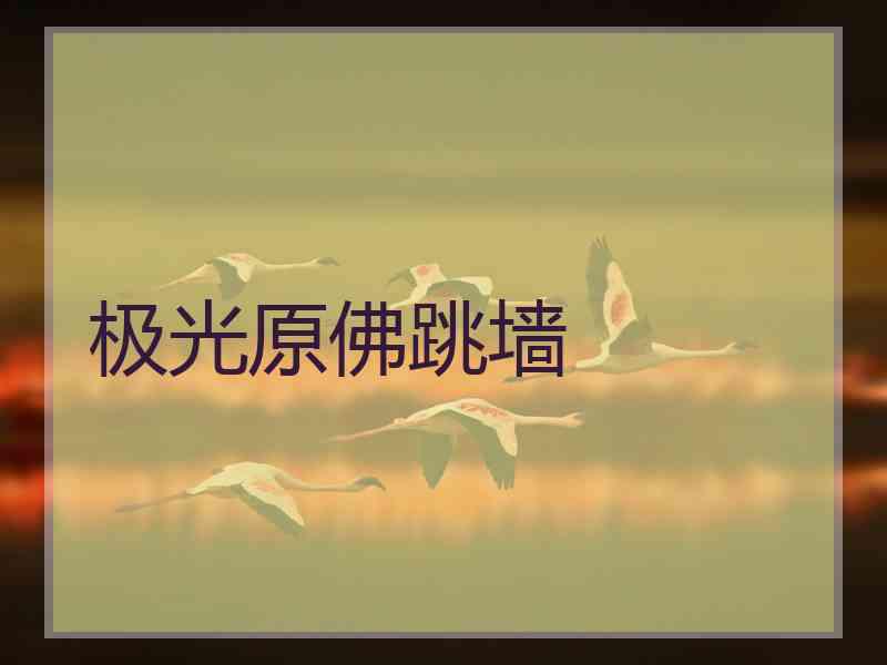 极光原佛跳墙