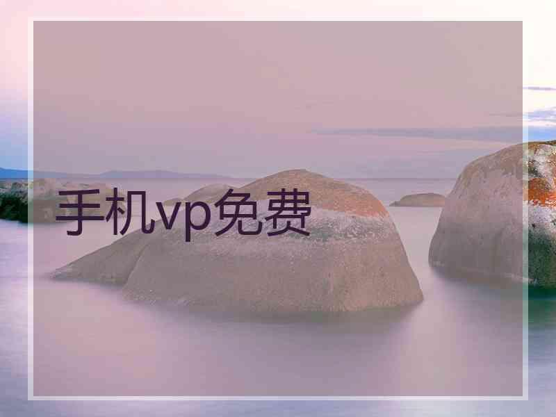 手机vp免费