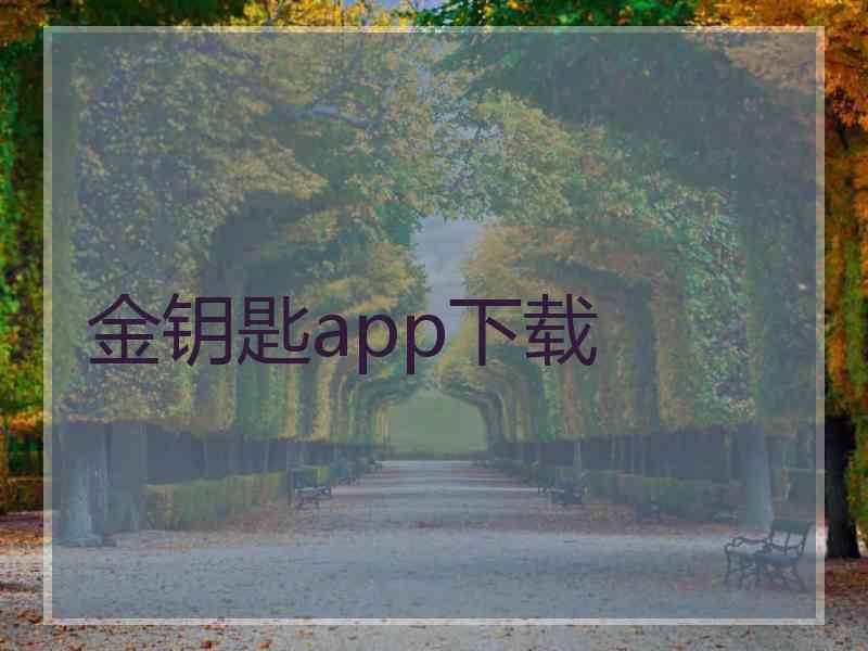 金钥匙app下载
