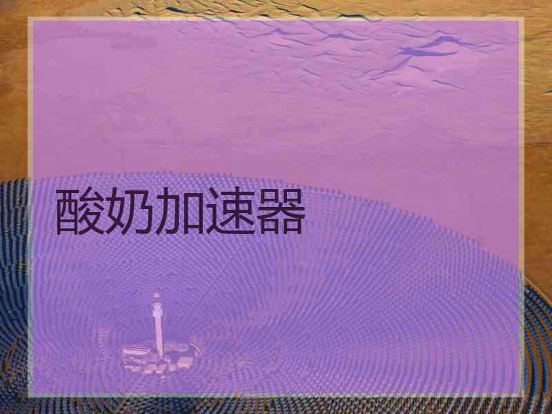 酸奶加速器