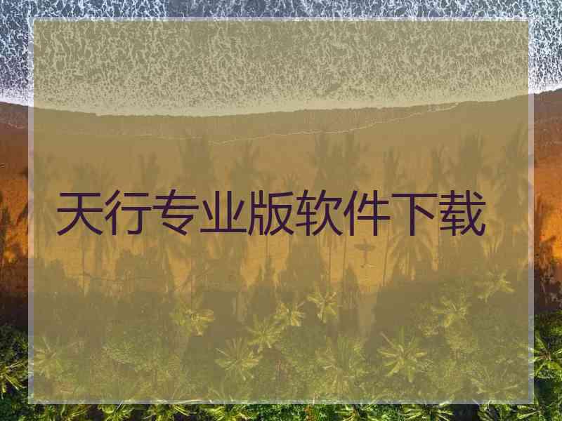 天行专业版软件下载