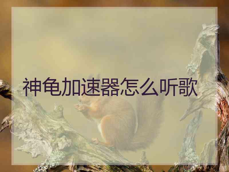 神龟加速器怎么听歌
