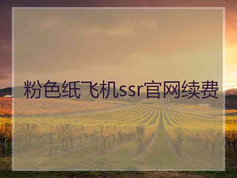 粉色纸飞机ssr官网续费