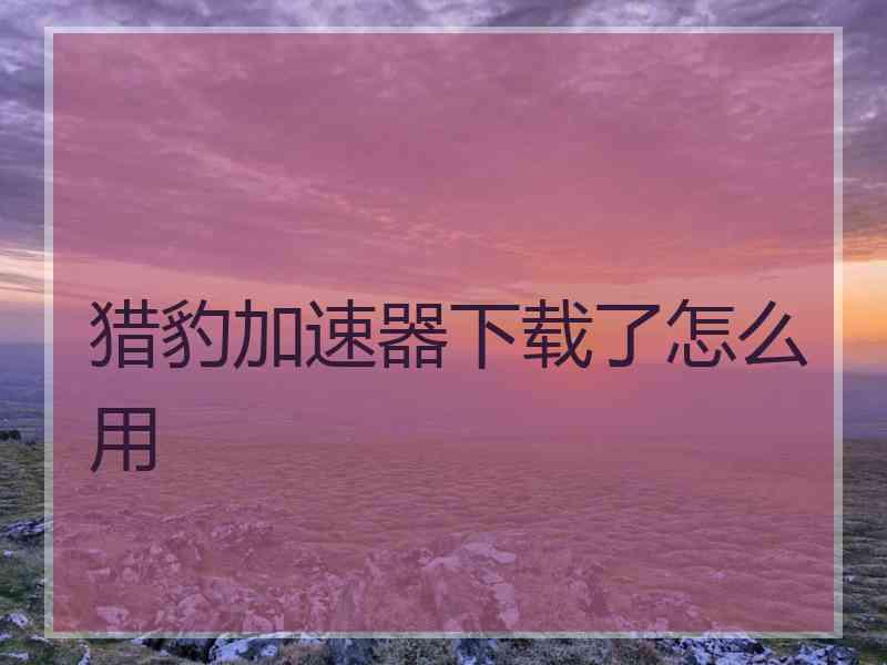 猎豹加速器下载了怎么用