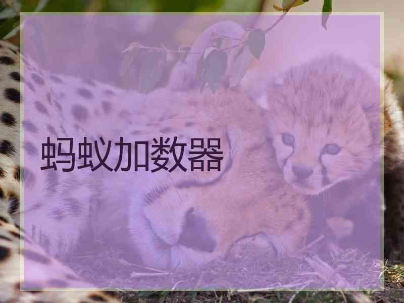 蚂蚁加数器