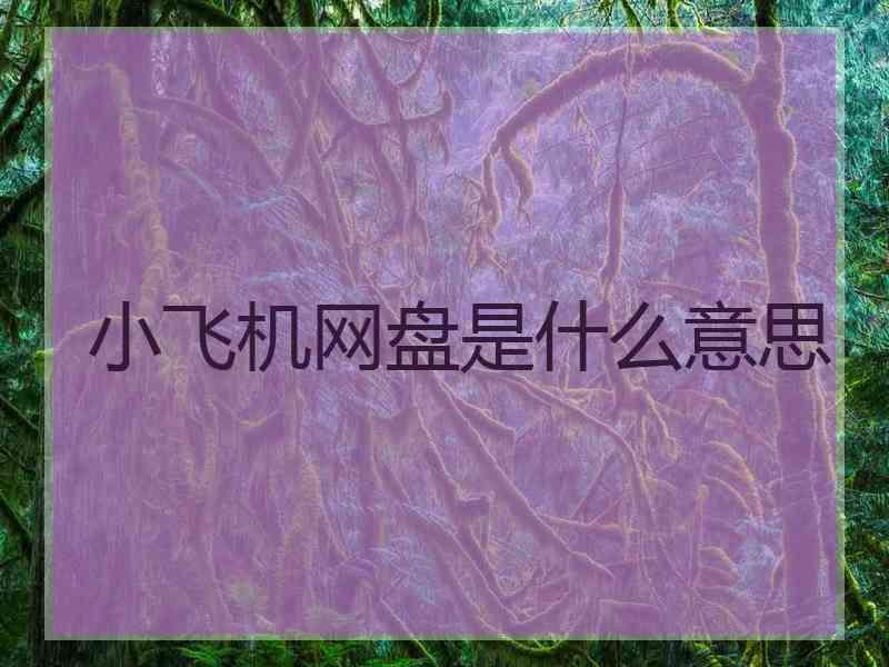小飞机网盘是什么意思