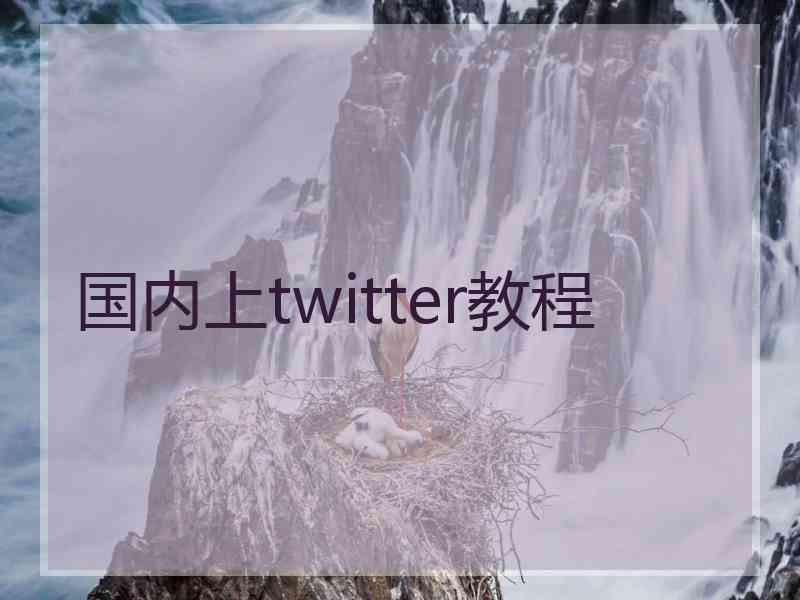 国内上twitter教程