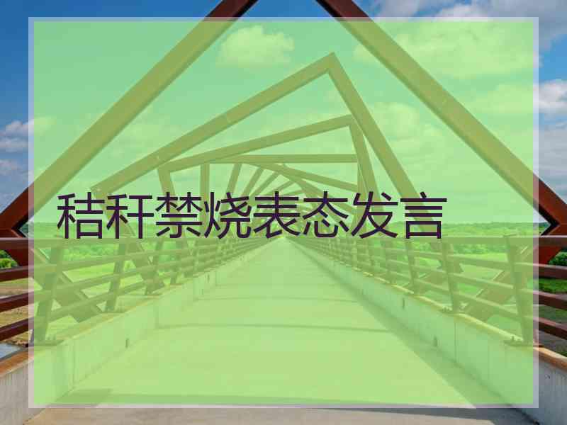 秸秆禁烧表态发言