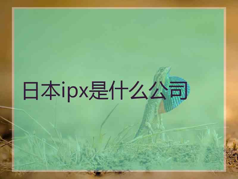 日本ipx是什么公司