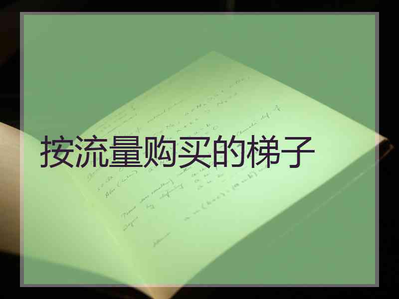 按流量购买的梯子