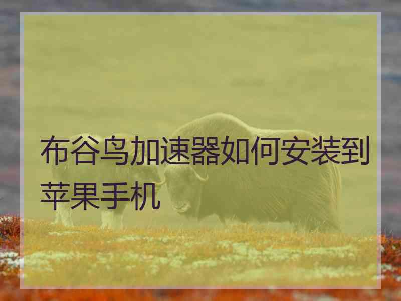 布谷鸟加速器如何安装到苹果手机