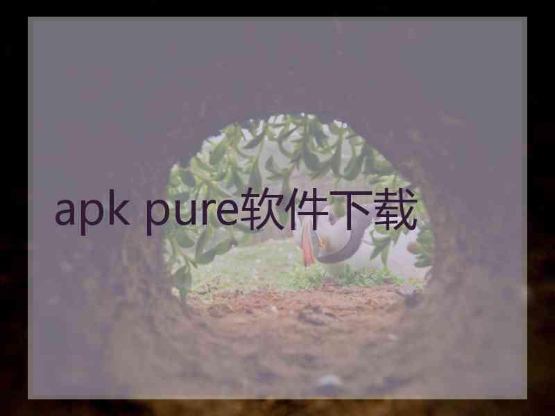 apk pure软件下载