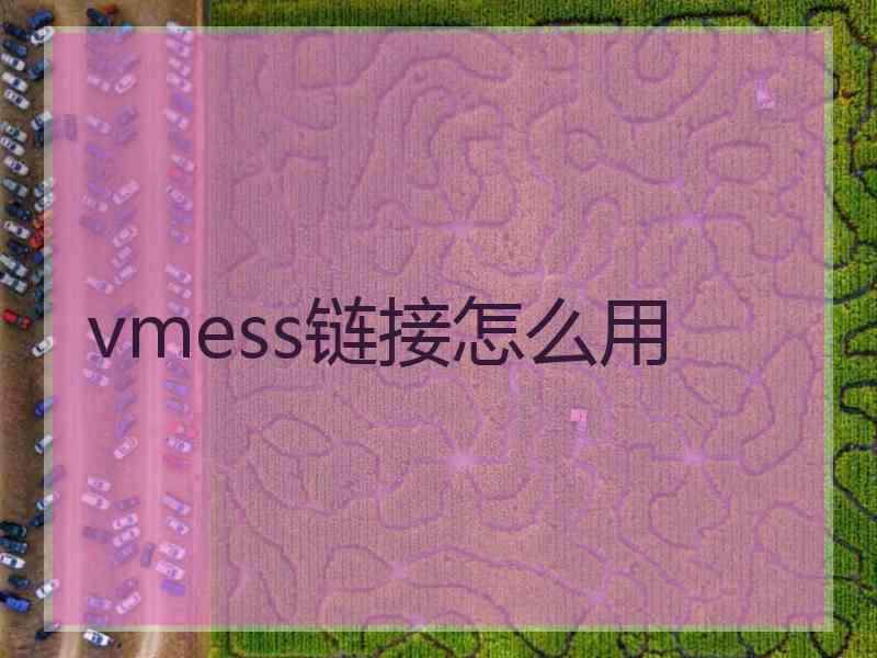 vmess链接怎么用
