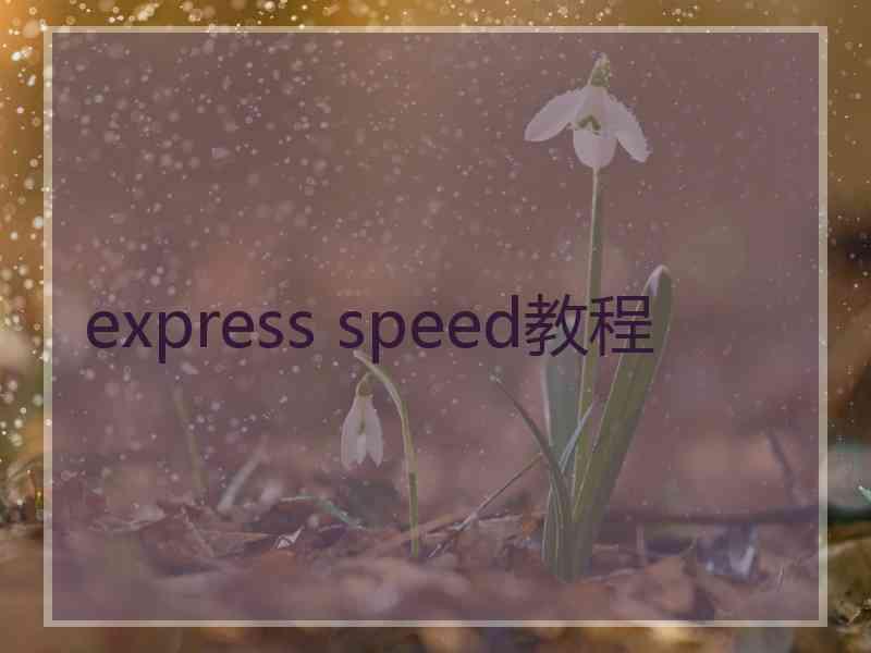 express speed教程