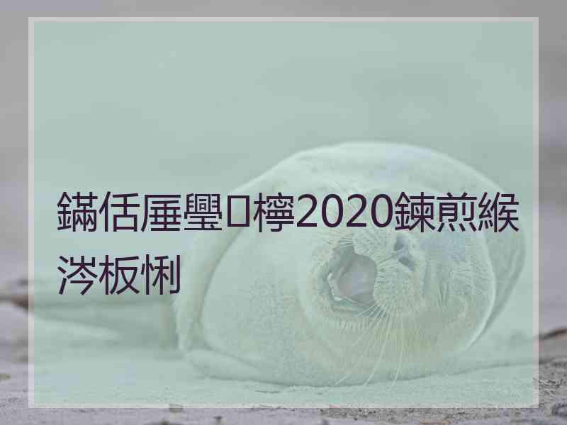 鏋佸厜璺檸2020鍊煎緱涔板悧