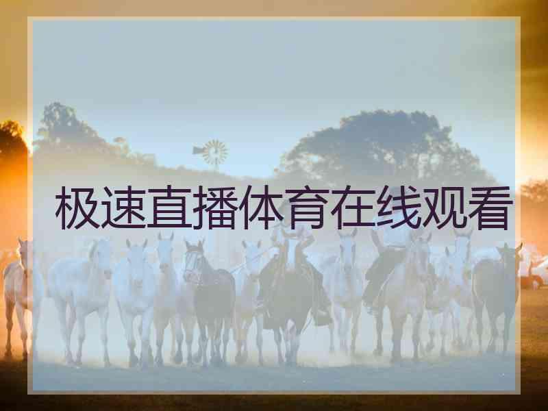 极速直播体育在线观看