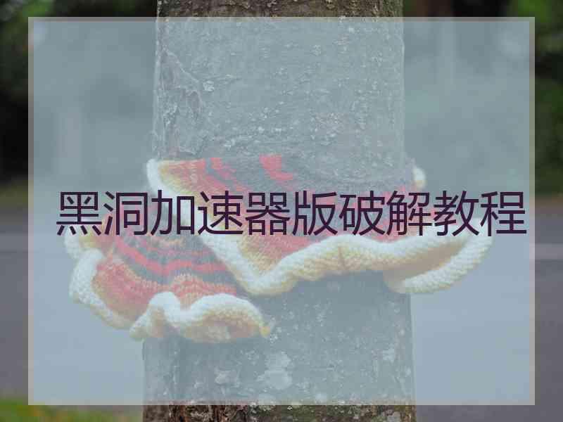 黑洞加速器版破解教程