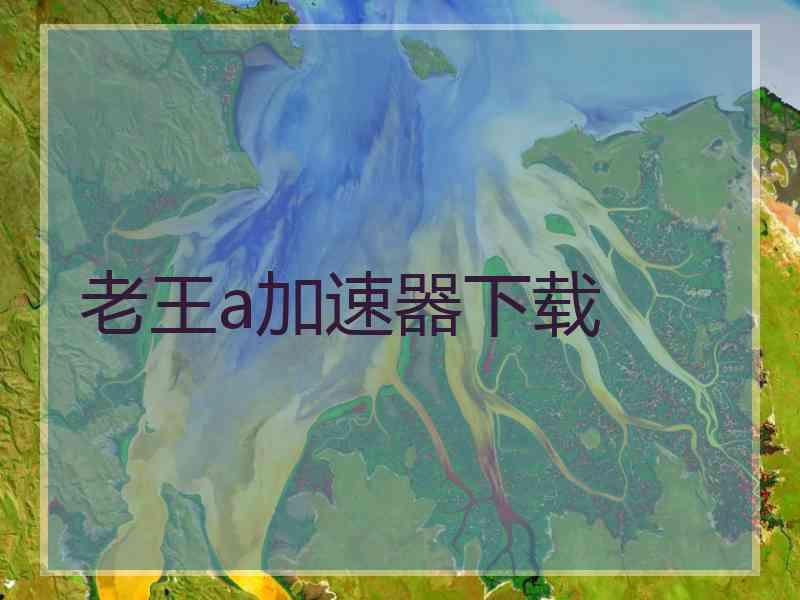 老王a加速器下载