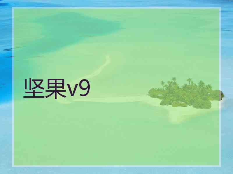 坚果v9