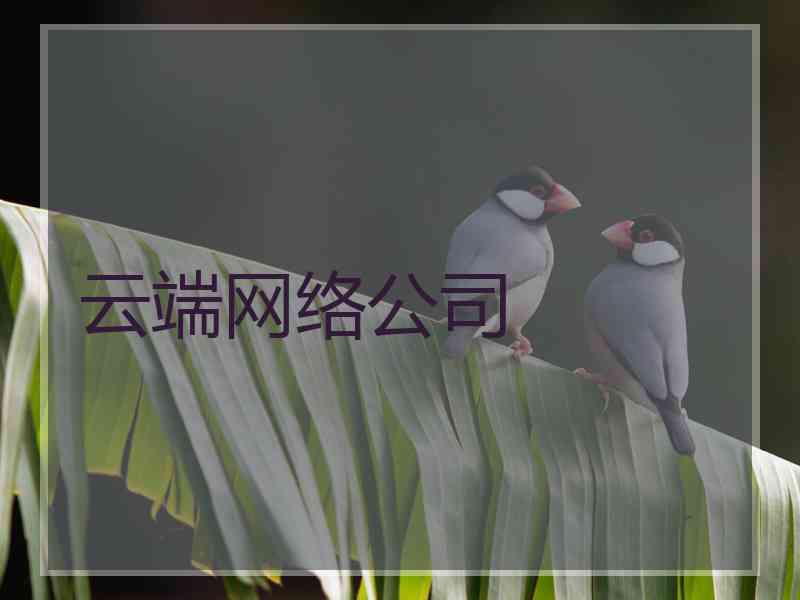 云端网络公司