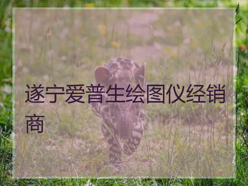 遂宁爱普生绘图仪经销商