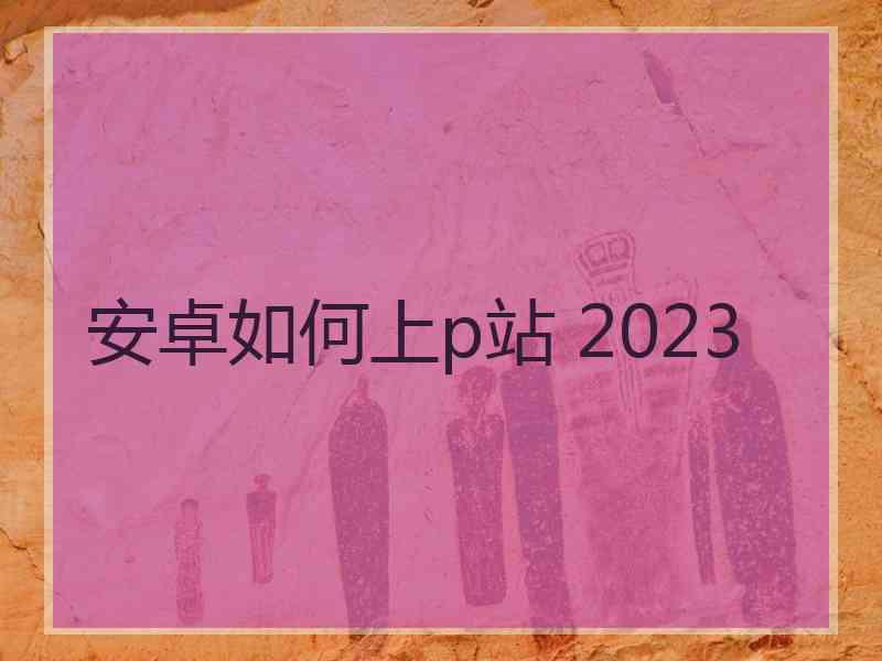 安卓如何上p站 2023