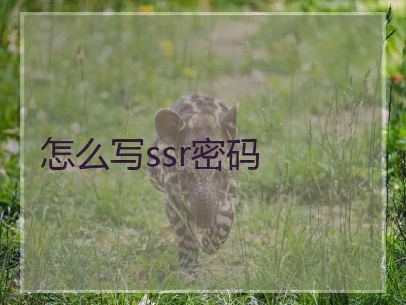 怎么写ssr密码