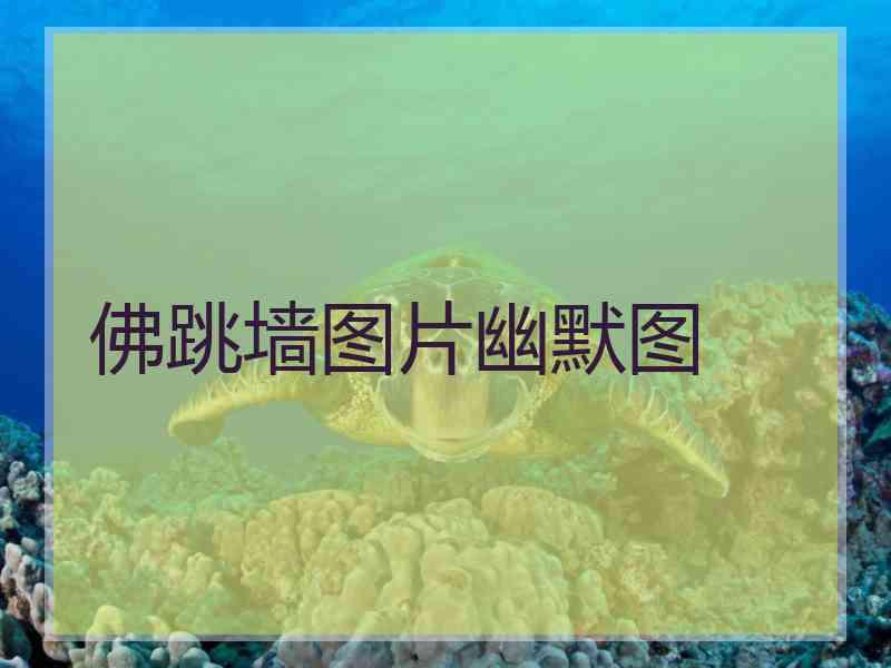 佛跳墙图片幽默图