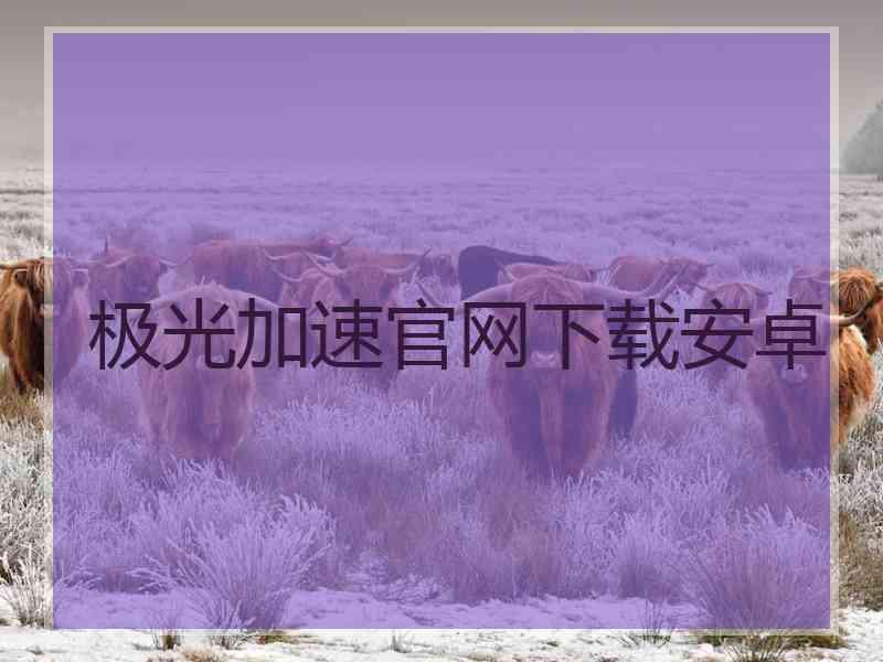 极光加速官网下载安卓