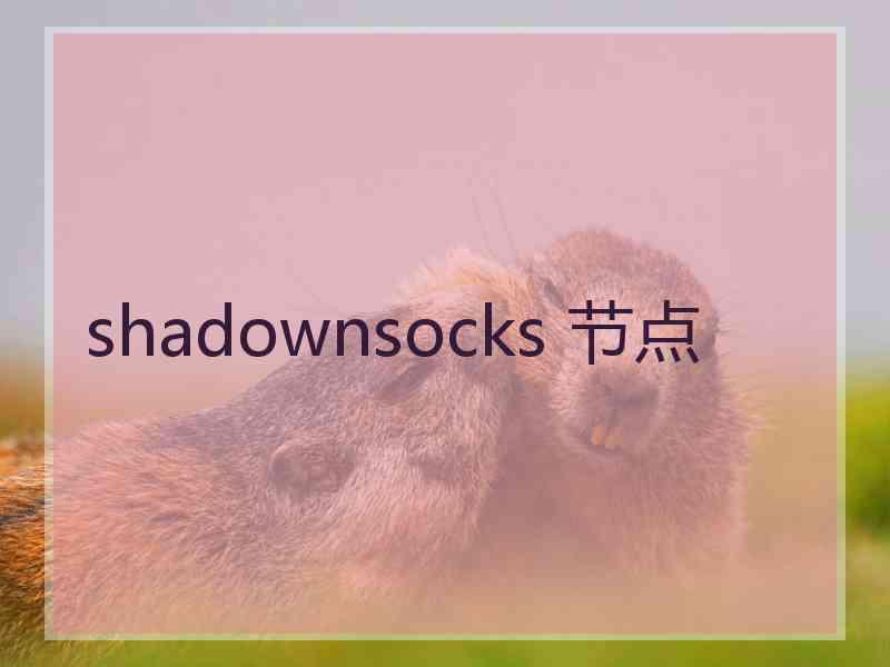 shadownsocks 节点