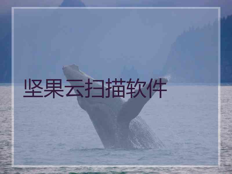 坚果云扫描软件