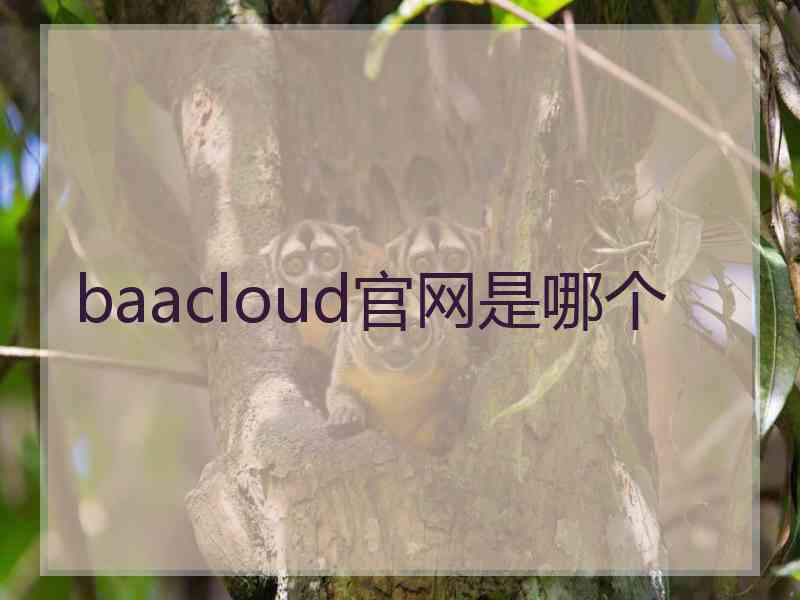 baacloud官网是哪个