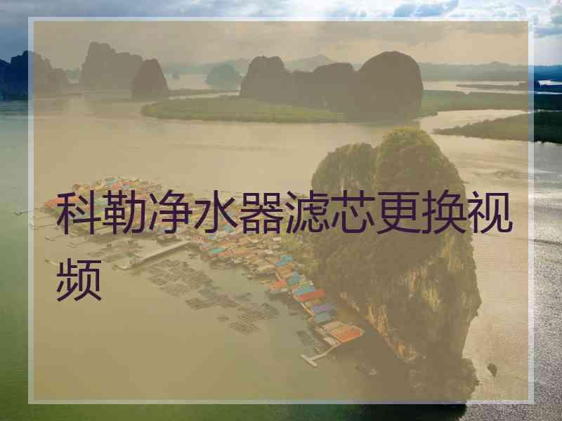 科勒净水器滤芯更换视频