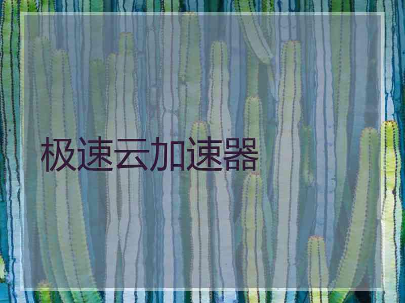 极速云加速器