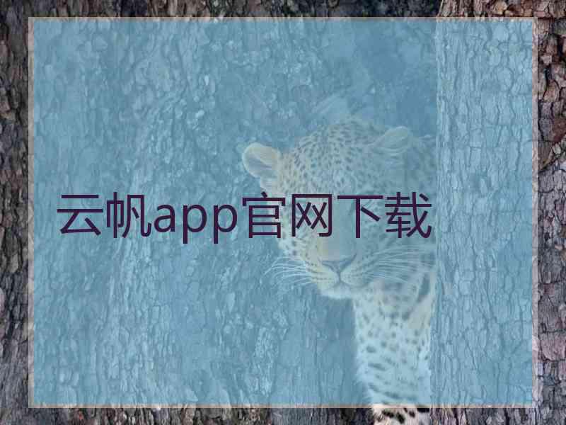 云帆app官网下载