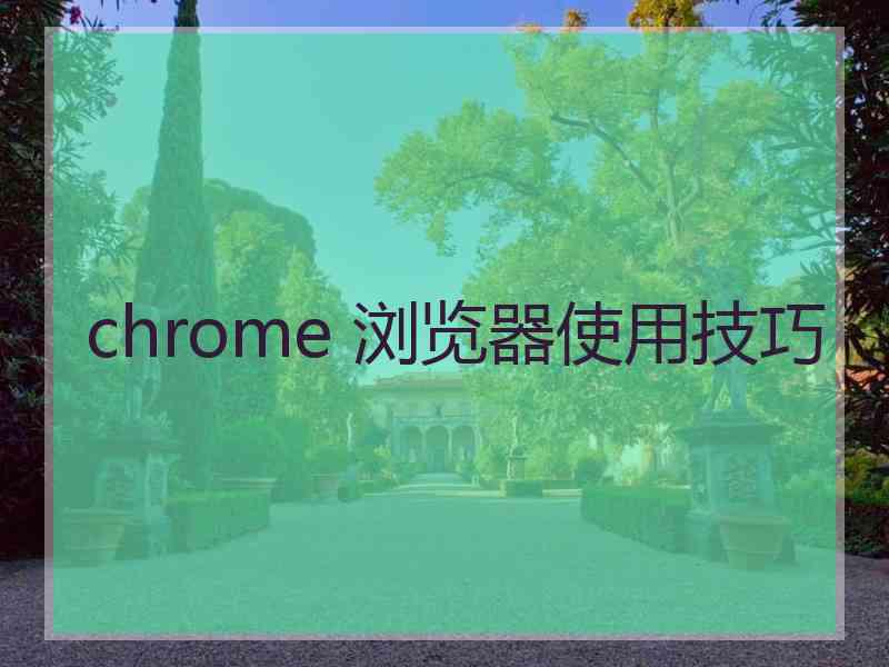 chrome 浏览器使用技巧