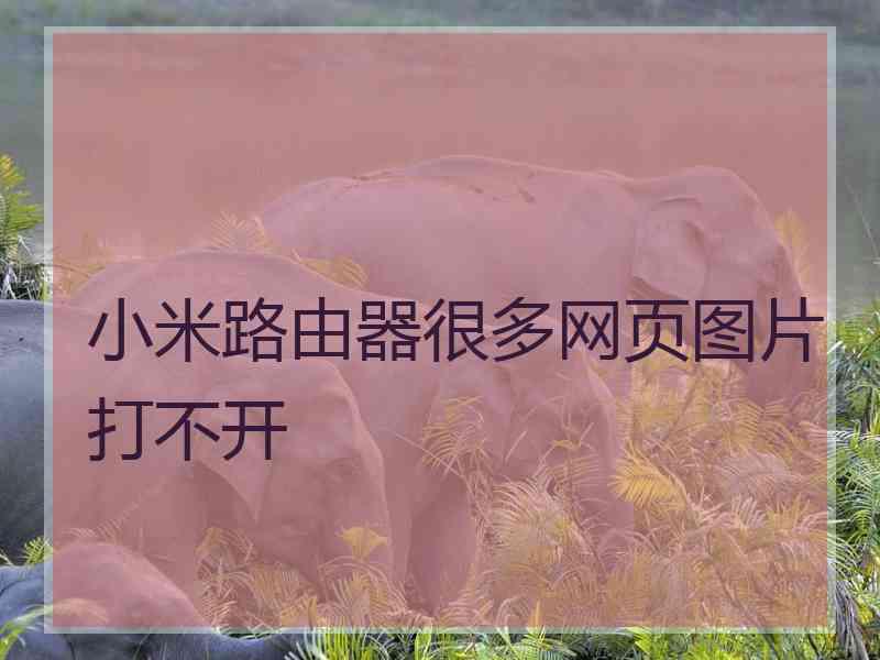 小米路由器很多网页图片打不开