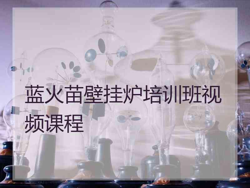蓝火苗壁挂炉培训班视频课程
