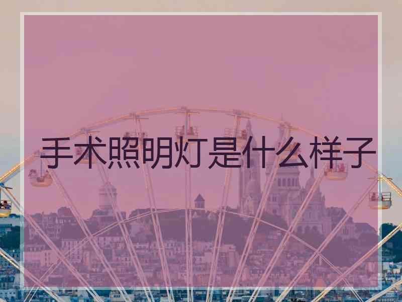 手术照明灯是什么样子