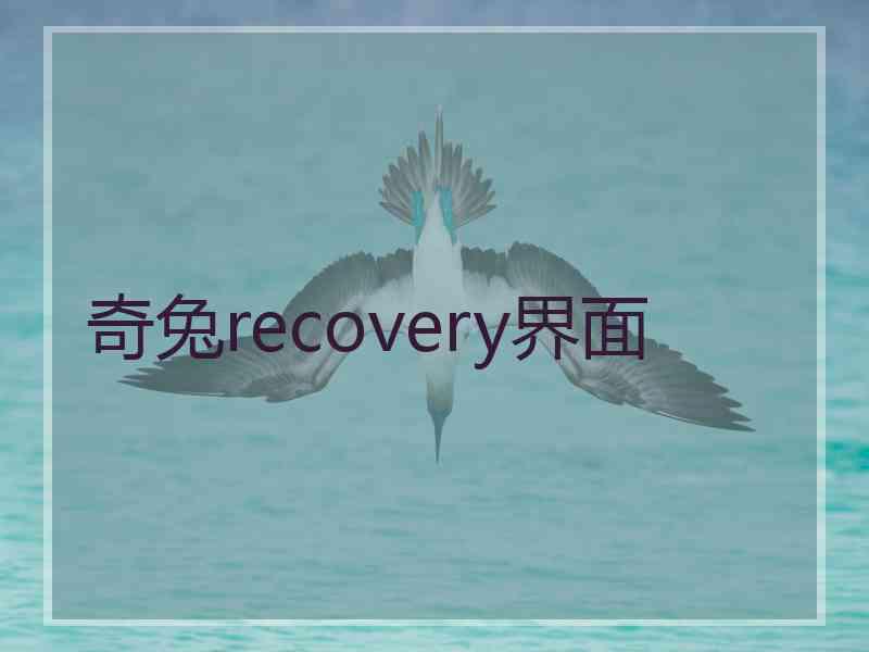 奇兔recovery界面