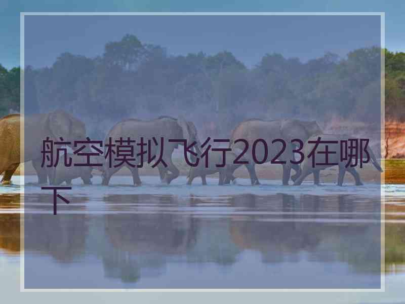 航空模拟飞行2023在哪下