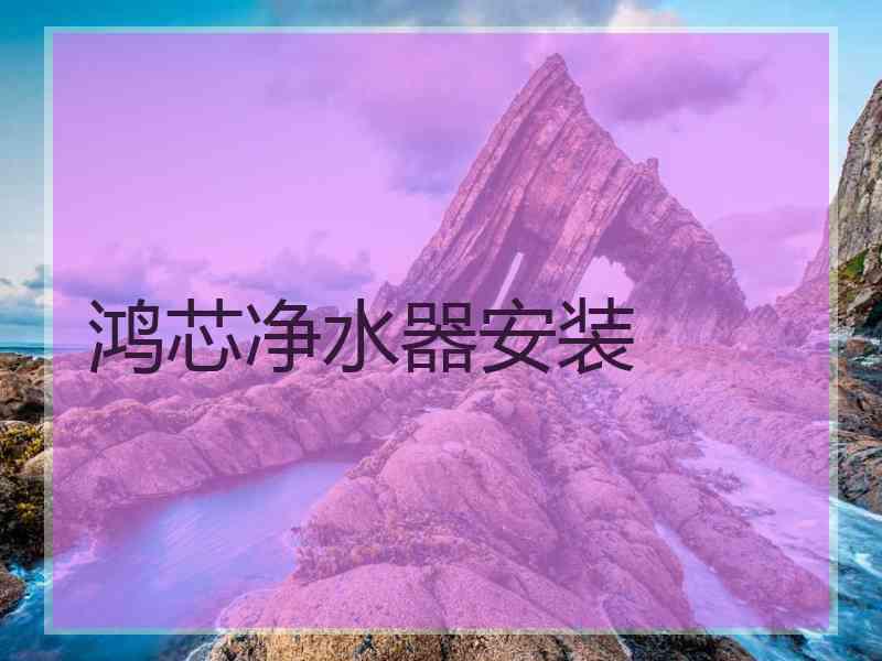 鸿芯净水器安装