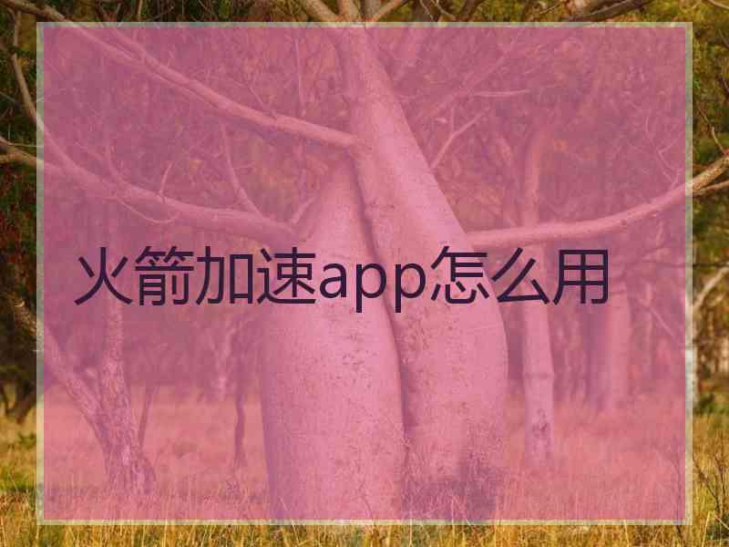 火箭加速app怎么用