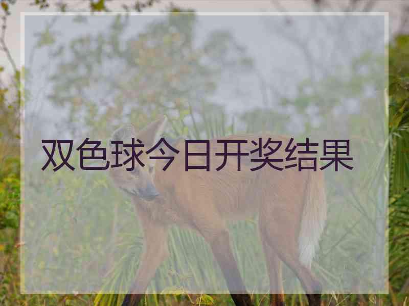 双色球今日开奖结果