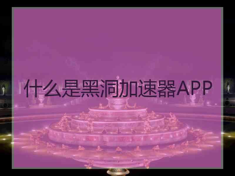 什么是黑洞加速器APP