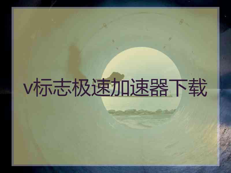 v标志极速加速器下载