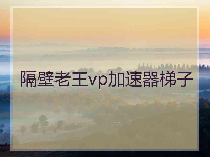 隔壁老王vp加速器梯子