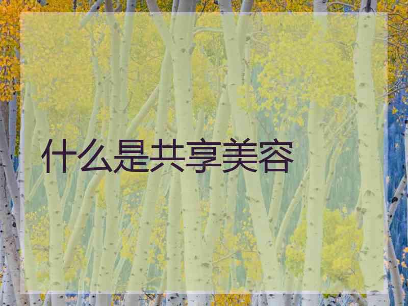 什么是共享美容