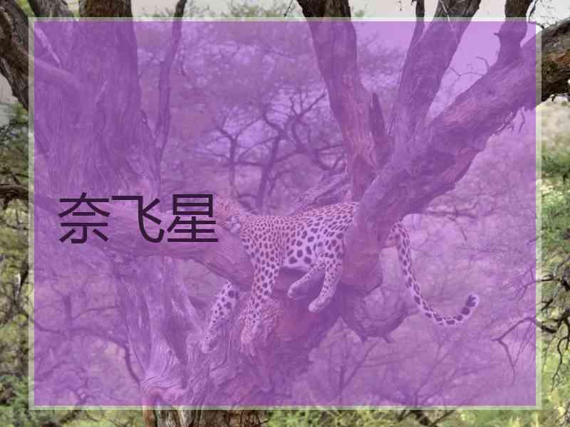 奈飞星