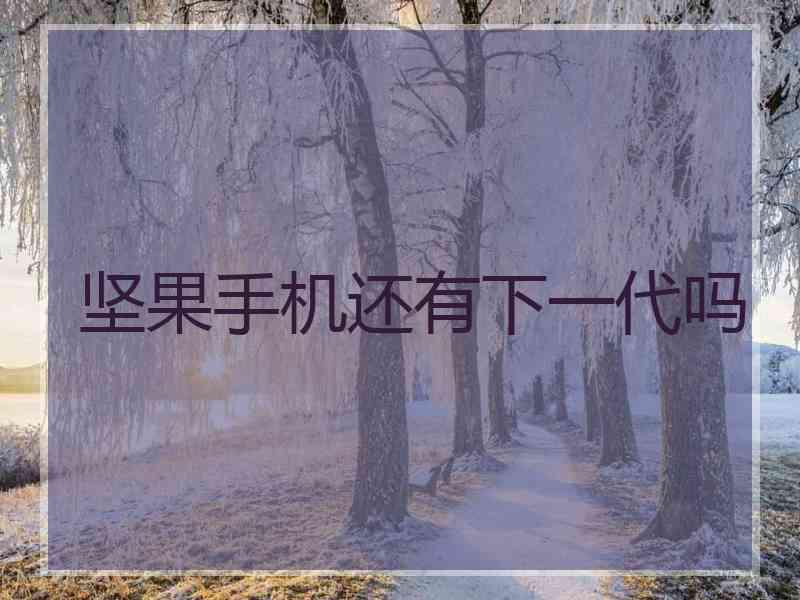 坚果手机还有下一代吗